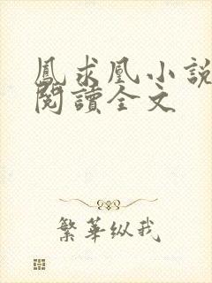 凤求凰小说免费阅读全文