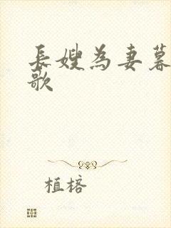 长嫂为妻暮色酒歌