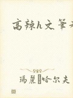 高辣h文笔趣阁