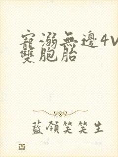 宠溺无边4V2双胞胎