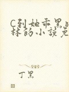 C到她乖黑暗森林的小说免费