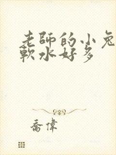 老师的小兔子好软水好多