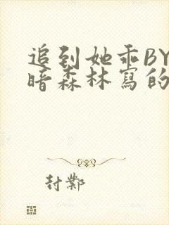 追到她乖BY黑暗森林写的小说