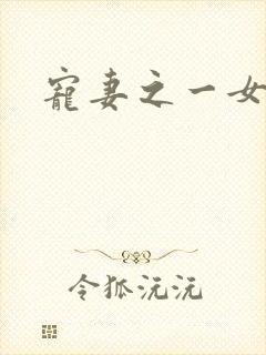 宠妻之一女二夫