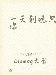 一天到晚只想着你