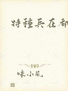特种兵在都市