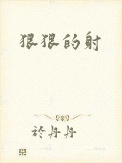 狠狠的射