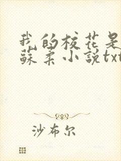 我的校花是福姬苏柔小说txt