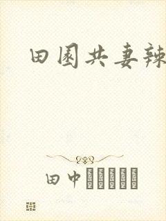 田园共妻辣