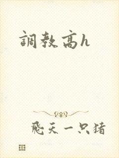 调教高h
