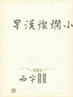 星汉灿烂小说