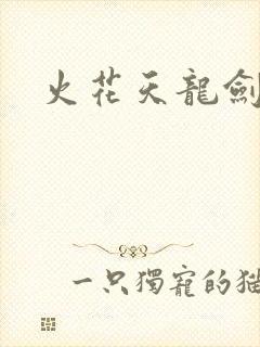 火花天龙剑