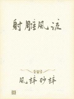 射雕风流