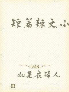 短篇辣文小说