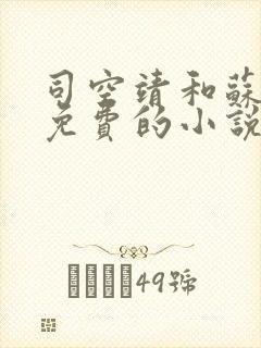 司空靖和苏月汐免费的小说笔趣阁