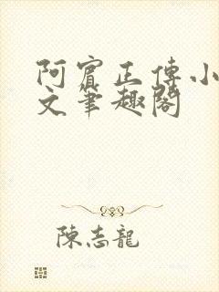 阿宾正传小说全文笔趣阁