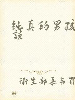 纯真的男孩子小说