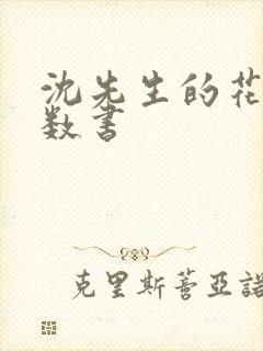 沈先生的花式调数书