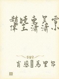 赵晓东吴雪晴郑伟王潇潇小说名字