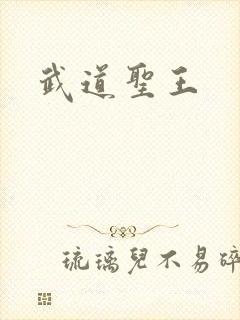 武道圣王
