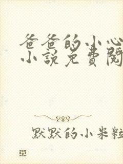 爸爸的小心肝儿小说免费阅读
