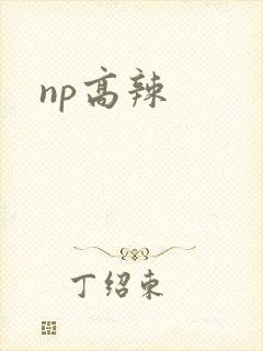 np高辣