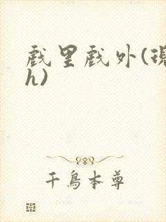 戏里戏外(现场h)