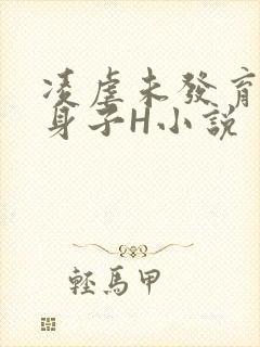 凌虐未发育的小身子H小说