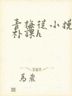 青梅从小摸到大补课h