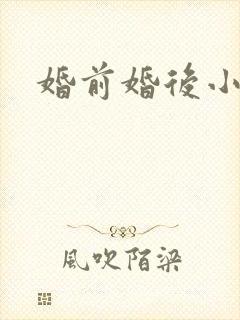 婚前婚后小说