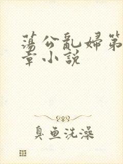 荡公乱妇第51章小说