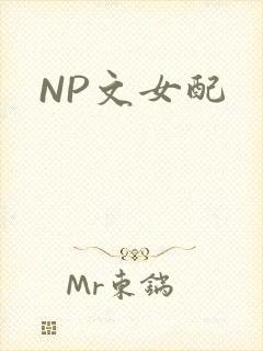 NP文女配
