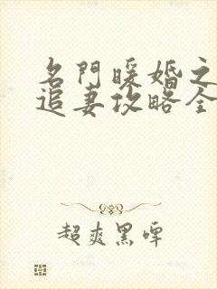 名门暖婚之权爷追妻攻略全文免费阅读