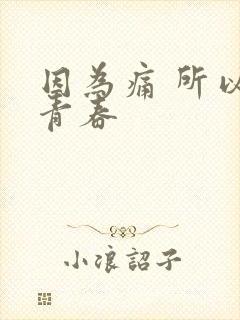 因为痛 所以叫青春