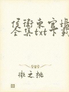 侯卫东官场笔记全集txt下载