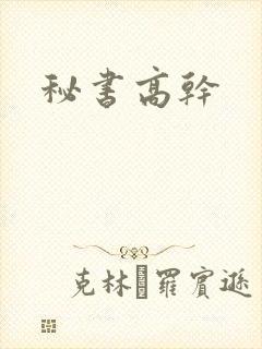 秘书高干