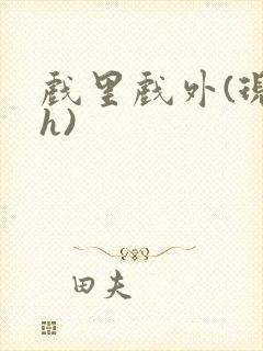 戏里戏外(现场h)