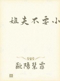 姐夫不要小说