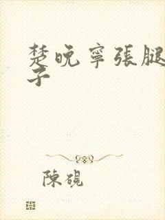 楚晚宁张腿放棋子