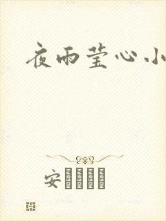 夜雨莹心小说