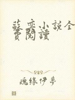 苏奕小说全文免费阅读