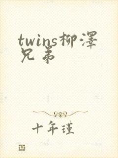 twins柳泽兄弟