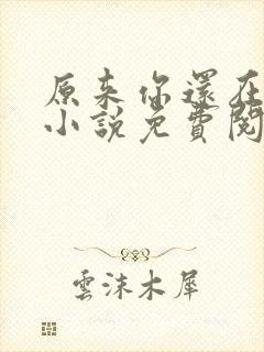 原来你还在这里小说免费阅读