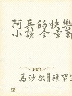 阿兵的快乐生活小说 全章节阅读免费