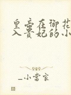 皇帝在御花园进入贵妃的小说