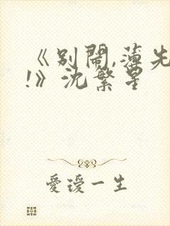 《别闹,薄先生!》沈繁星