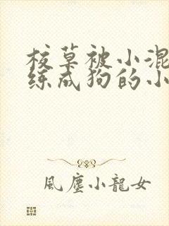 校草被小混混训练成狗的小说