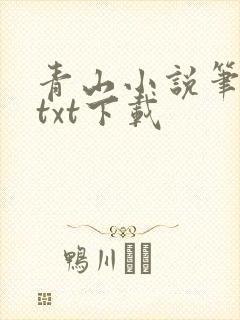 青山小说笔趣阁txt下载