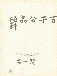 极品公子百度百科