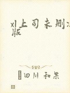 xl上司未删减版